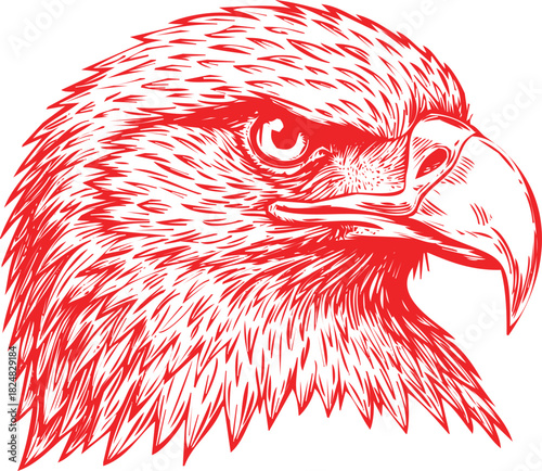 Red Ink Line Art Eagle Head Profile with Intense Eye on White Background bird raptor
