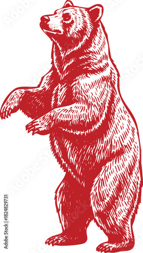 Red Standing Bear Illustration With Detailed Fur Texture grizzly brown bear