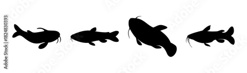 Four distinct catfish silhouettes against a clean white background.
