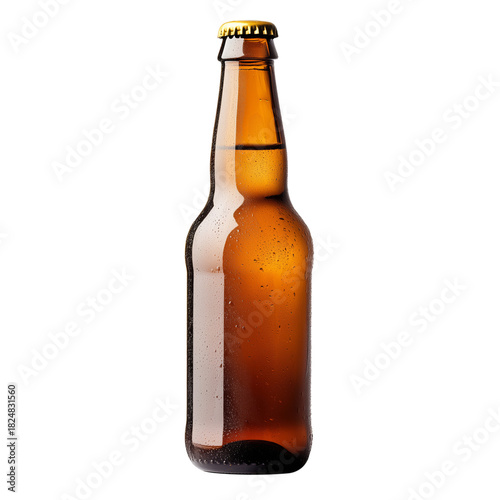 Enjoy Refreshing Craft Beer During a Summer Gathering With Friends by the Lake