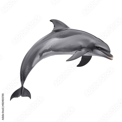 Dolphin Swimming Gracefully in Clear Blue Water During Daytime