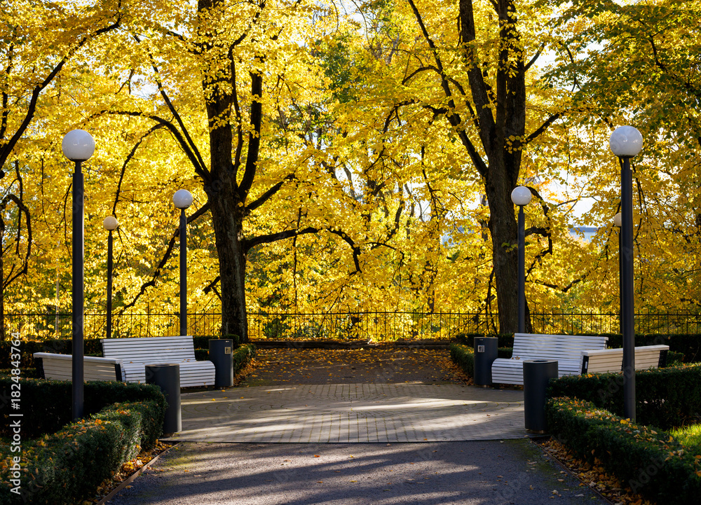 Naklejka premium Tallinn old town in autumn colors