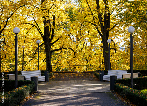 Tallinn old town in autumn colors