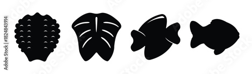 Sea creature silhouettes: shell, leaf, and two fish icons