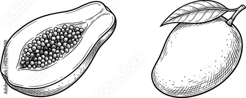 Papaya and Mango Vector Illustration, Tropical Fruit Engraving Sketch for Food, Healthy Lifestyle, or Vintage Design
