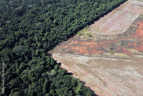 Aerial view of lush green rainforest meeting stark brown deforested land showing environmental impact
