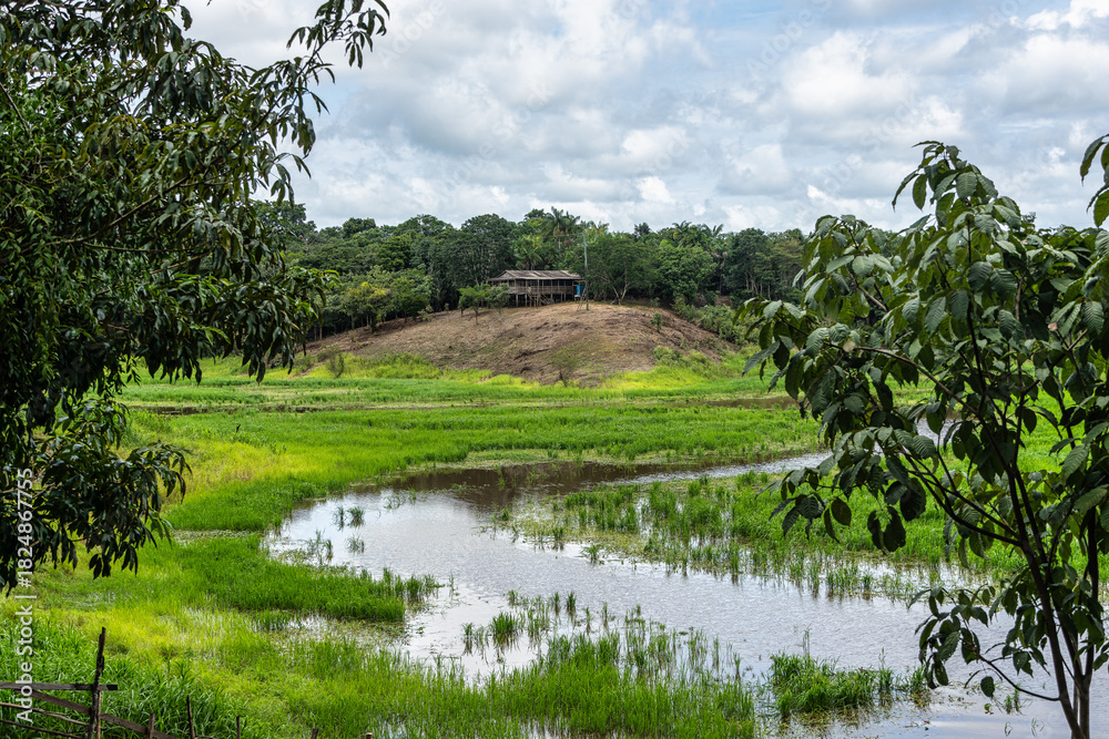 Fototapeta premium River boat trip at Parana do Mamori in the Amazon rainforest about 100 km south of Manaus in Brazil