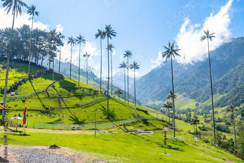 views of cocora valley, Colombia