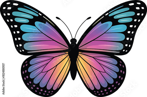 Colorful butterfly insect on clean background