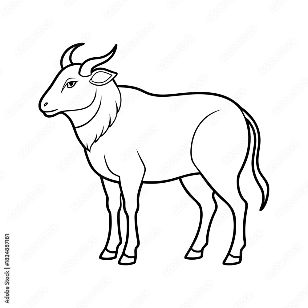Fototapeta premium Takin Outline Vector Illustration