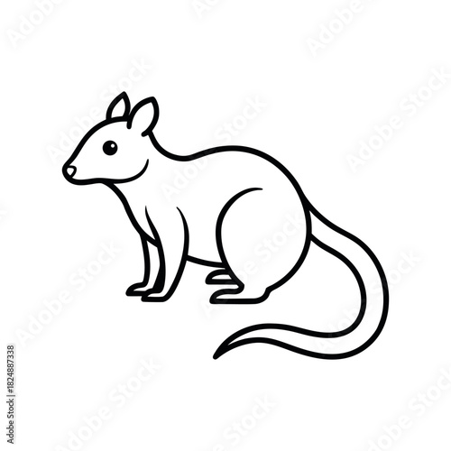 Quoll Outline Vector Illustration