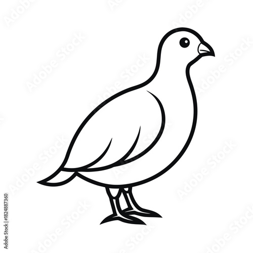 Snow Partridge Outline Vector Illustration