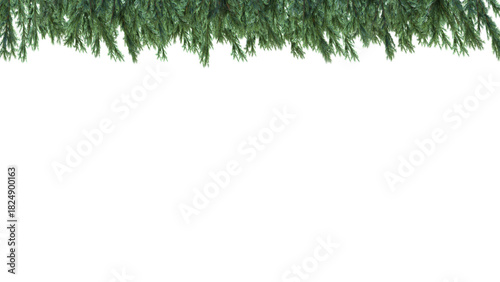 A green garland on a white background