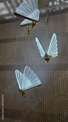 butterfly on a branch
