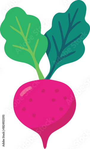 Fresh Pink Radish with Leaves Vector Illustration