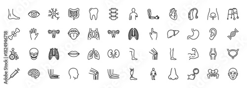 Medical and anatomy line icon set. Vector pictograms of heart, brain, skeleton, and internal organs, thin linear illustration.
