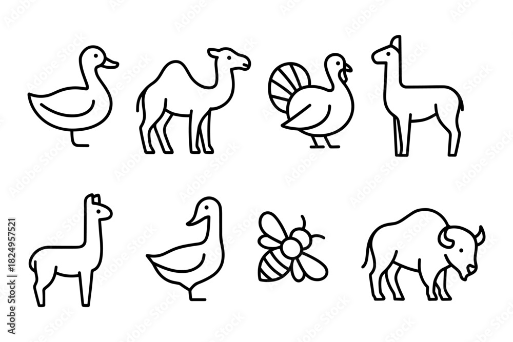 Obraz premium Farm and exotic animal icon set. Duck, camel, turkey, alpaca, bee and bison for agriculture, farming and nature projects. Vector illustration.