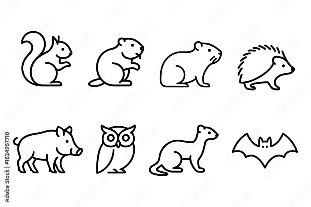 Fototapeta premium Set of forest animal outline icons. Includes squirrel, beaver, groundhog, hedgehog, wild boar, owl, weasel, and bat. Great for woodland, nature, and wildlife-themed projects. Vector illustration.