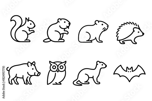 Set of forest animal outline icons. Includes squirrel, beaver, groundhog, hedgehog, wild boar, owl, weasel, and bat. Great for woodland, nature, and wildlife-themed projects. Vector illustration.