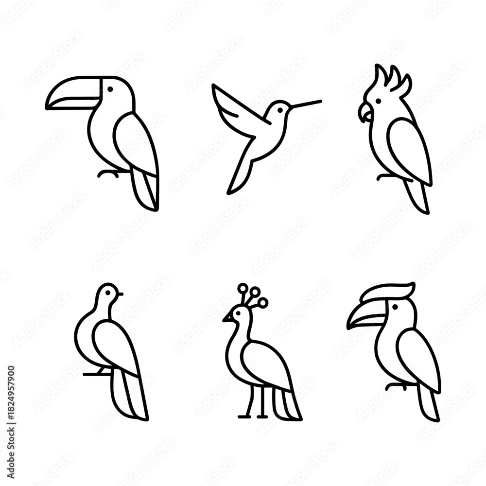 Obraz premium Tropical Birds Set: Toucan, Hummingbird, Parrot, Peacock, Vector Illustration
