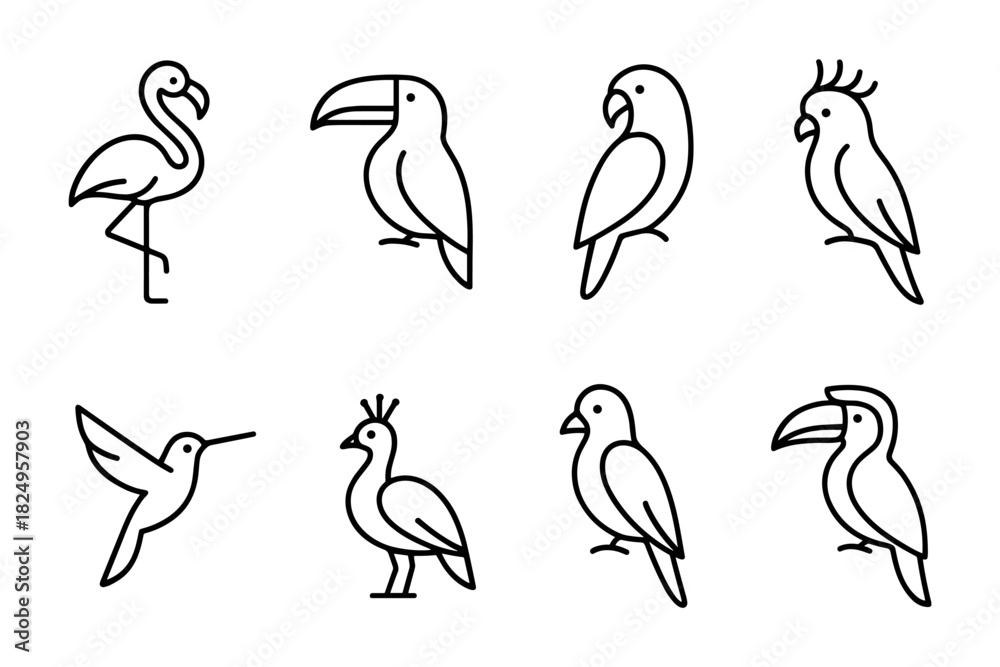 Obraz premium Exotic Birds Collection: Flamingo, Toucan, Parrot, Peacock, Hummingbird, Vector Illustration