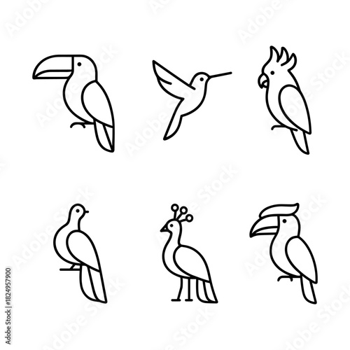 Tropical Birds Set: Toucan, Hummingbird, Parrot, Peacock, Vector Illustration