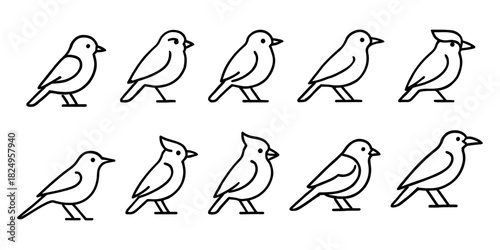 Vector Birds Collection: Sparrow, Finch, Songbirds, Nature, Birdwatching