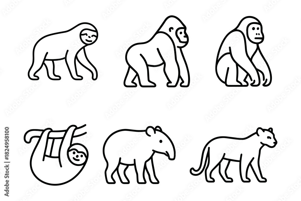 Fototapeta premium Vector Illustration of Sloth, Gorilla, and Wild Animals