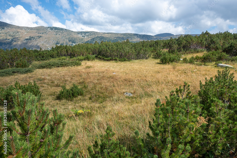Obraz premium Rila mountain near The Stinky Lake (Smradlivoto Lake), Bulgaria