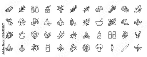 Cooking ingredients and spice line icon set. Vector pictograms of rosemary, vanilla, ginger, celery, and herbs, thin linear illustration.