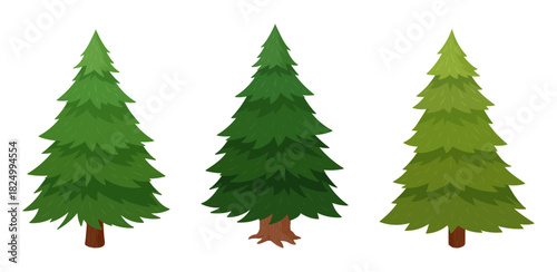Cartoon Christmas spruce. Traditional xmas fir trees, evergreen forest plants flat vector illustration set. Winter Holiday fir trees on white background