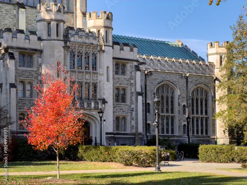 View of collegiate gothic architecture bathed in soft light, a vibrant red tree stands in contrast against the grey stone, enhancing the campus scene, Poughkeepsie, New York, United States.