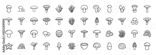Mushroom varieties line icon set. Vector pictograms of chanterelle, shiitake, morel, and puffball fungi, thin linear illustration.