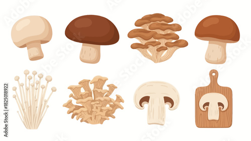 Collection of eight different mushroom illustrations, showcasing a variety of edible fungi and culinary ingredients