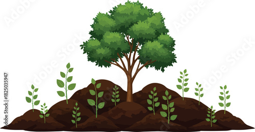 Small tree growing on a mound of soil