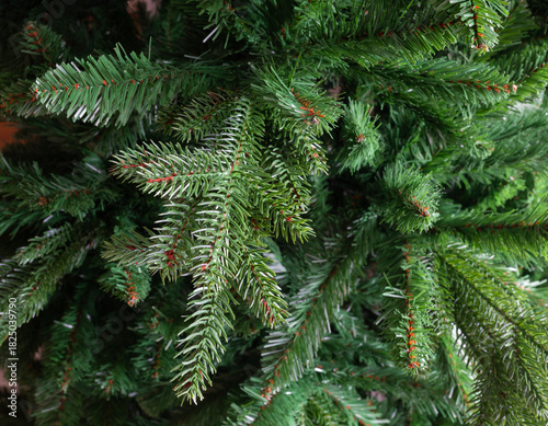 Artificial Christmas tree branches creating a green holiday background