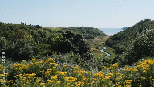 Pennard Pill River, Three Cliffs Bay, Gower Peninsula, Wales