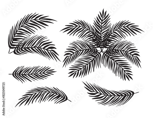 Palm Tree Silhouette Tropical Nature Vector Illustration