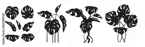Monstera Leaves Silhouettes Set