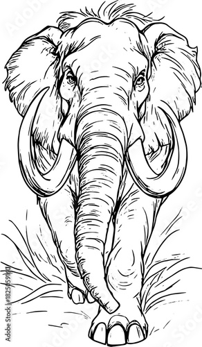 black and white cartoon elephant
