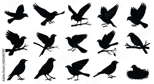 Bird silhouettes in flight and perched, graceful avian collection for nature designs