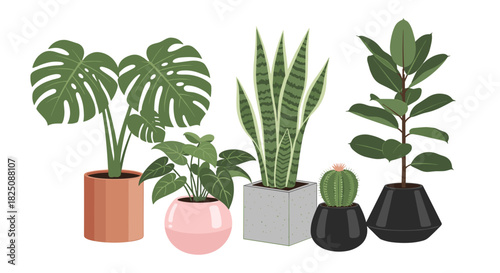 Collection of potted plants for modern home decor, bringing nature indoors with style