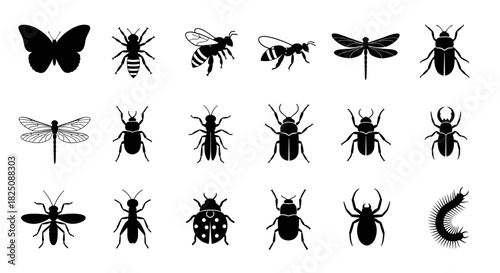 Black vector icons of insects and bugs including butterfly, beetle, bee, ant, and spider
