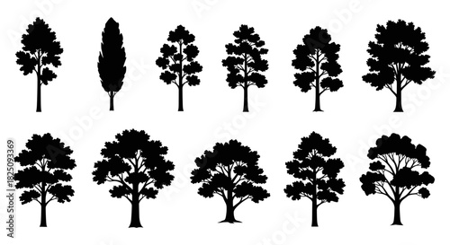 Diverse tree silhouettes for landscape design, forestry, or environmental projects design