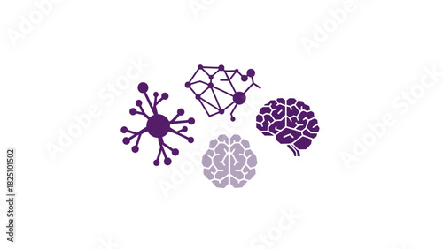 Simplified illustration of the brain and neurological structures in shades of purple