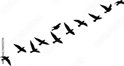 Flying bird silhouettes, migrating flock in motion, diagonal formation artwork, minimal black wildlife design, simple nature illustration for backgrounds