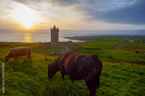 Photos Beautiful scenery sunset landscape with an old Irish Doonegore Castle, grazing cows  and coastal beach views of doolin and the aran islands