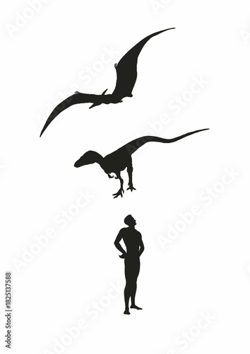 Silhouette of a Pteranodon, Sinosauropteryx, and Human on a White Background