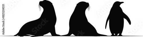 Silhouette of sea lions and penguin on white background, marine wildlife vector illustration for educational, nature, and animal-themed content
