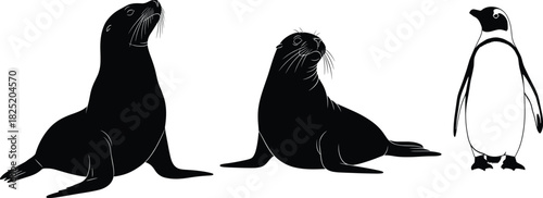 Minimalist black silhouettes of seals and penguin in various poses, marine wildlife vector illustration for nature, animal, and zoo themes